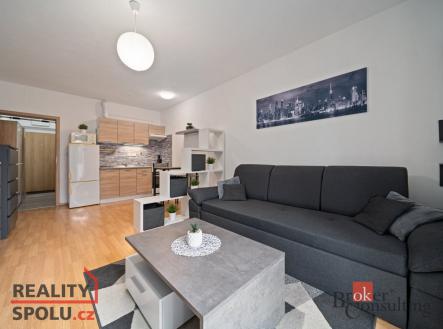 Pronájem bytu, 1+kk, 31 m²