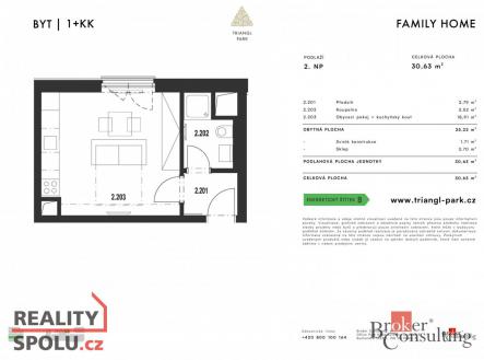 Prodej bytu, 1+kk, 30,63 m²