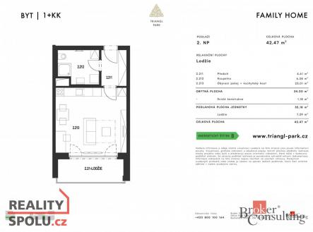 Prodej bytu, 1+kk, 42,47 m²