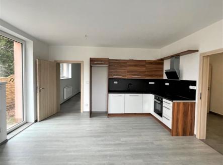 Pronájem bytu, 2+kk, 65 m²