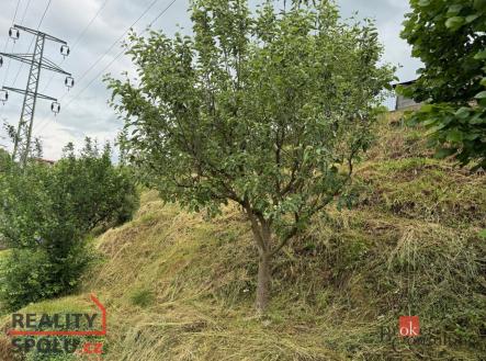 Prodej pozemku, zahrada, 874 m²