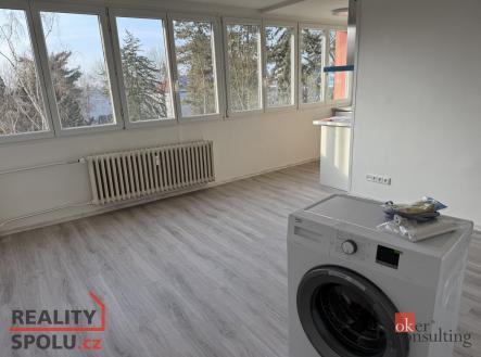 Pronájem bytu, 1+kk, 27 m²