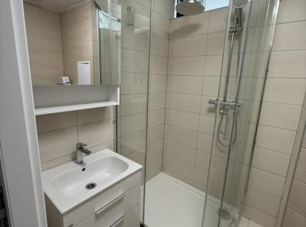 Pronájem bytu, 1+kk, 27 m²