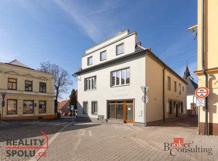 Prodej - dům/vila, 393 m²