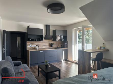 Prodej bytu, 1+kk, 52 m²