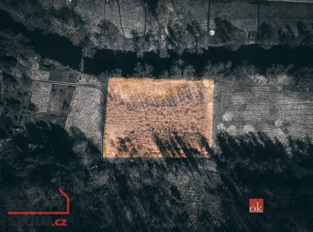 Prodej pozemku, les, 4 109 m²