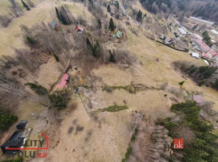 Prodej - pozemek, trvalý travní porost, 3 901 m²