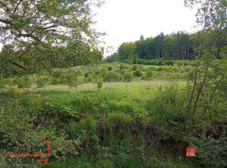 Prodej pozemku pro bydlení, 22 894 m²