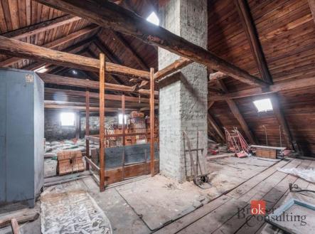 Prodej domu/vily, 700 m²