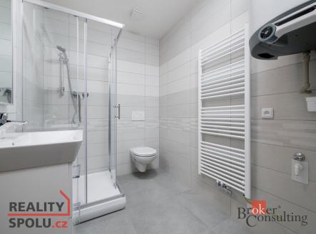 Pronájem bytu, 1+1, 64 m²