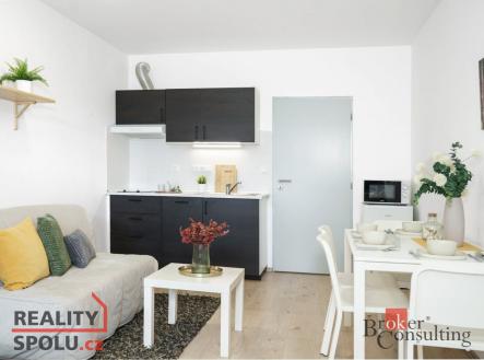 Prodej bytu, 1+kk, 33,4 m²