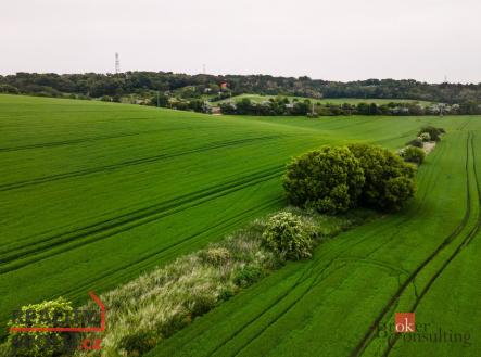 Prodej - pozemek, zemědělská půda, 12 510 m²