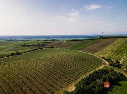 Prodej pozemku, ostatní, 256 256 m²