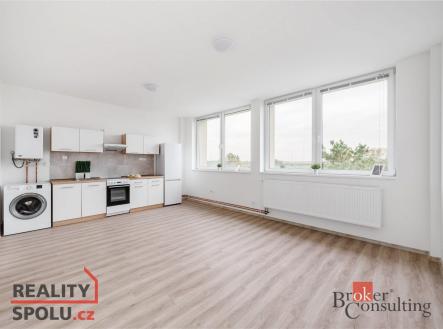 Pronájem bytu, 1+kk, 47 m²