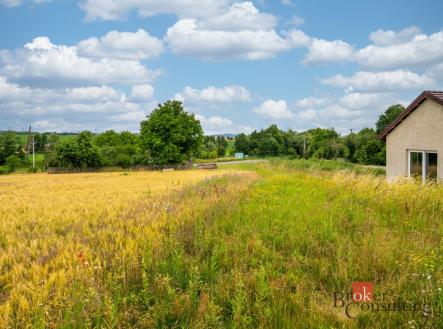 Prodej pozemku pro bydlení, 1 488 m²