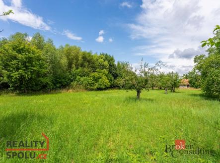 Prodej pozemku pro bydlení, 3 106 m²