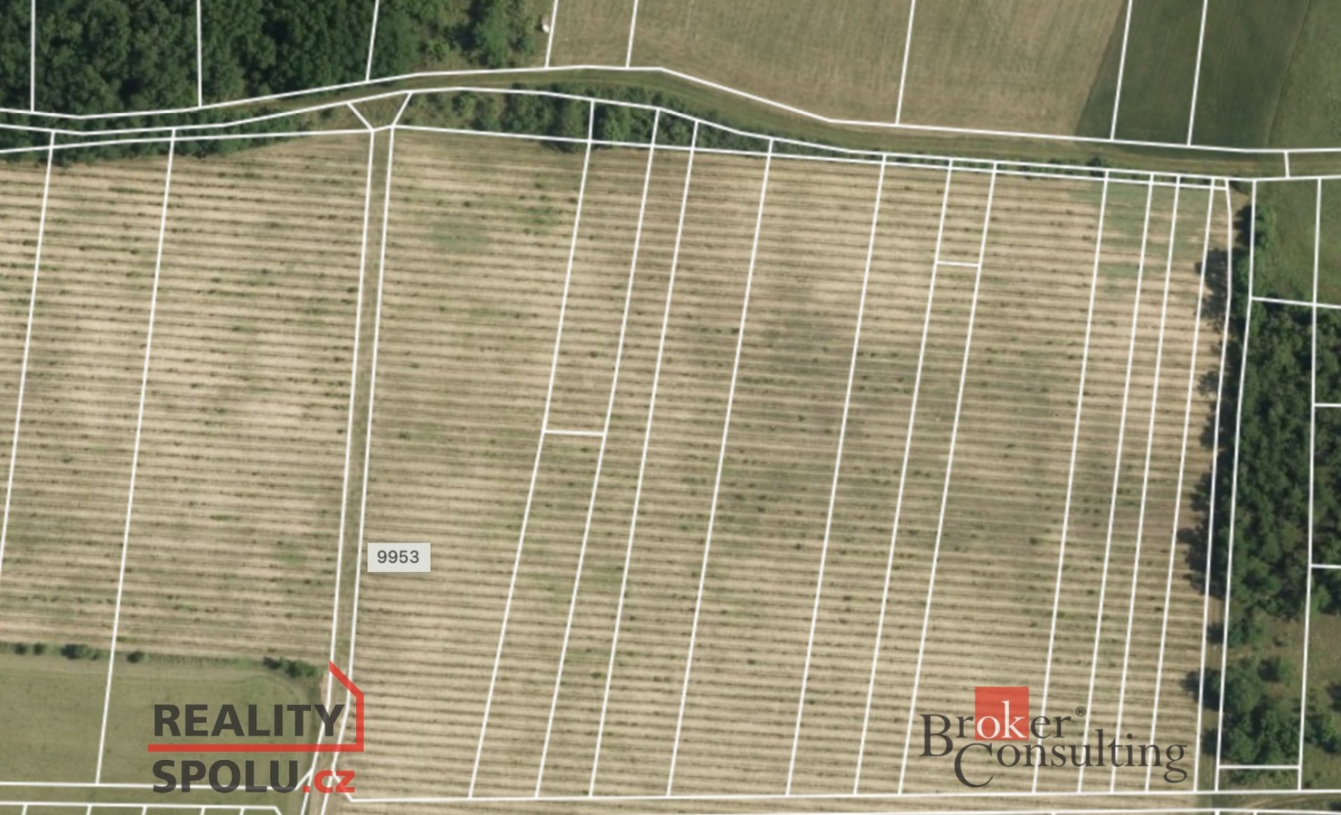 Prodej, pozemky/vinice/sady, 1193 m2, Oleksovice, Znojmo [ID 74530]