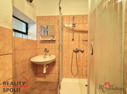 Prodej domu/vily, 300 m²