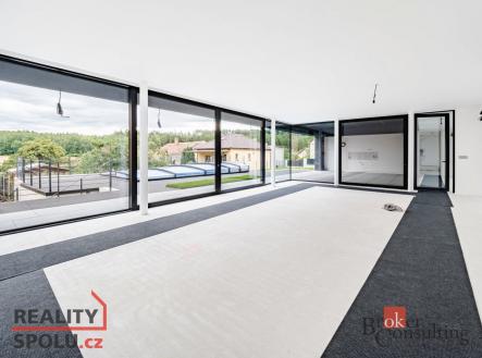 Prodej domu/vily, 397 m²
