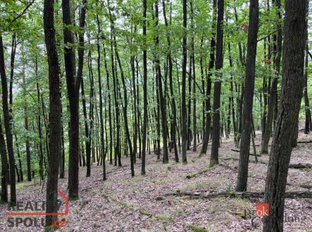 Prodej pozemku, les, 8 887 m²