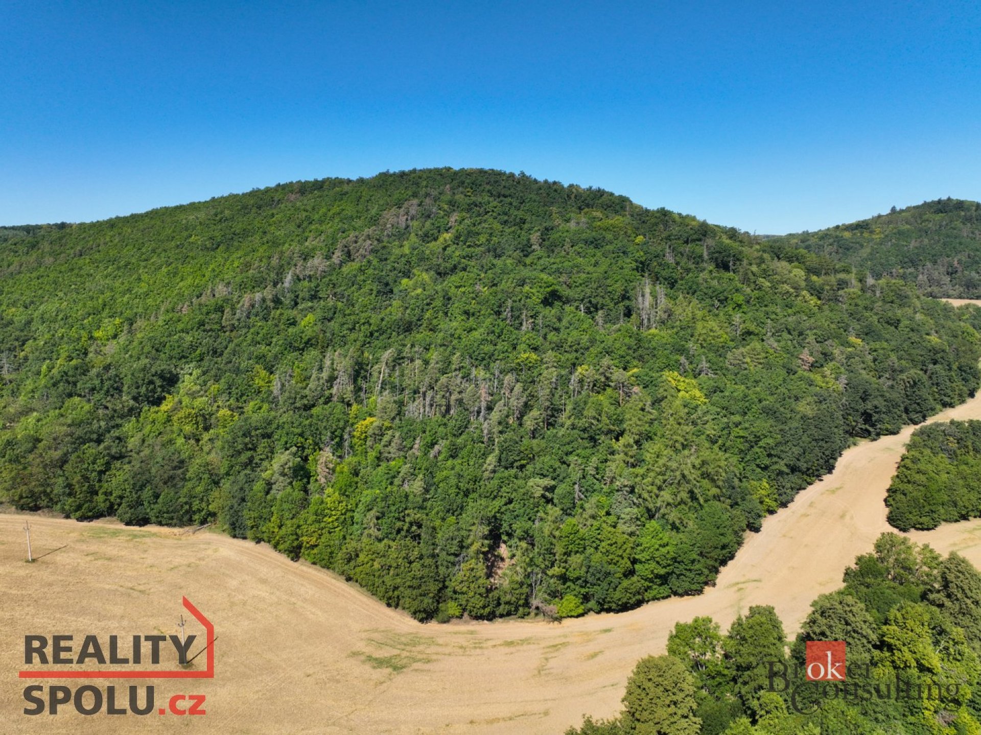 Prodej lesa - Brno venkov