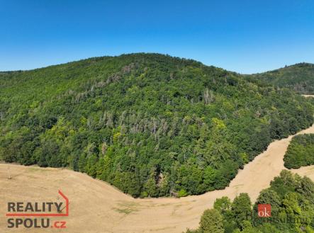 Prodej pozemku, les, 8 887 m²