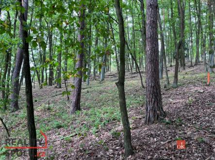 Prodej pozemku, les, 8 887 m²