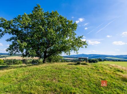 Prodej pozemku, zemědělská půda, 11 539 m²