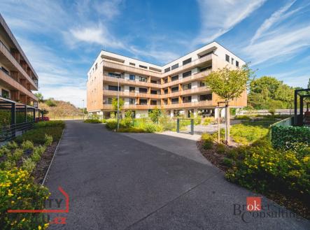 Pronájem bytu, 1+kk, 29 m²