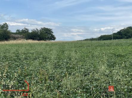 Prodej pozemku pro bydlení, 788 m²