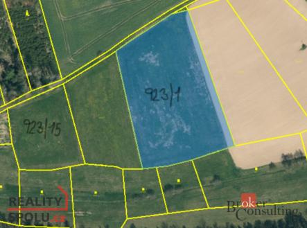 Prodej pozemku, trvalý travní porost, 44 551 m²