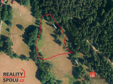 Prodej pozemku, trvalý travní porost, 52 859 m²