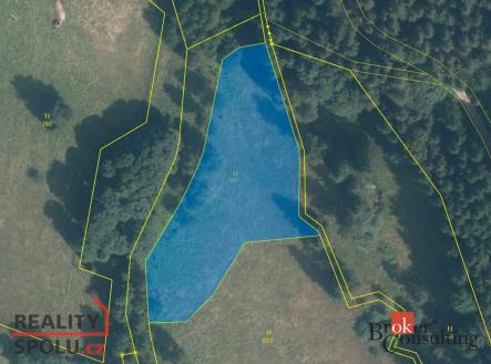 Prodej pozemku, trvalý travní porost, 62 859 m²