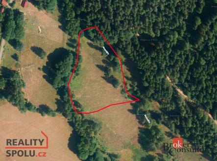 Prodej pozemku, trvalý travní porost, 62 859 m²