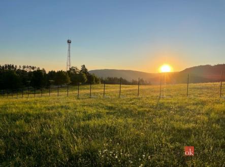 Prodej pozemku pro bydlení, 2 884 m²