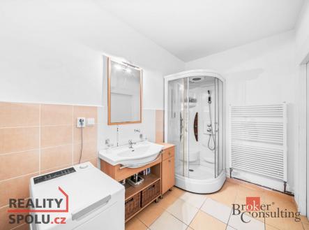 Prodej domu/vily, 308 m²