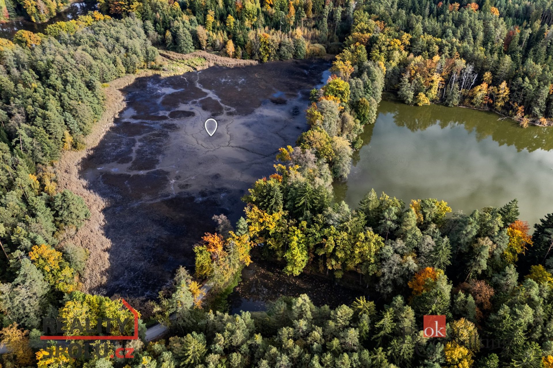 Prodej, pozemky/rybník, 64790 m2, Žíteč, Chlum u Třeboně, Jindřichův Hradec [ID 77875]