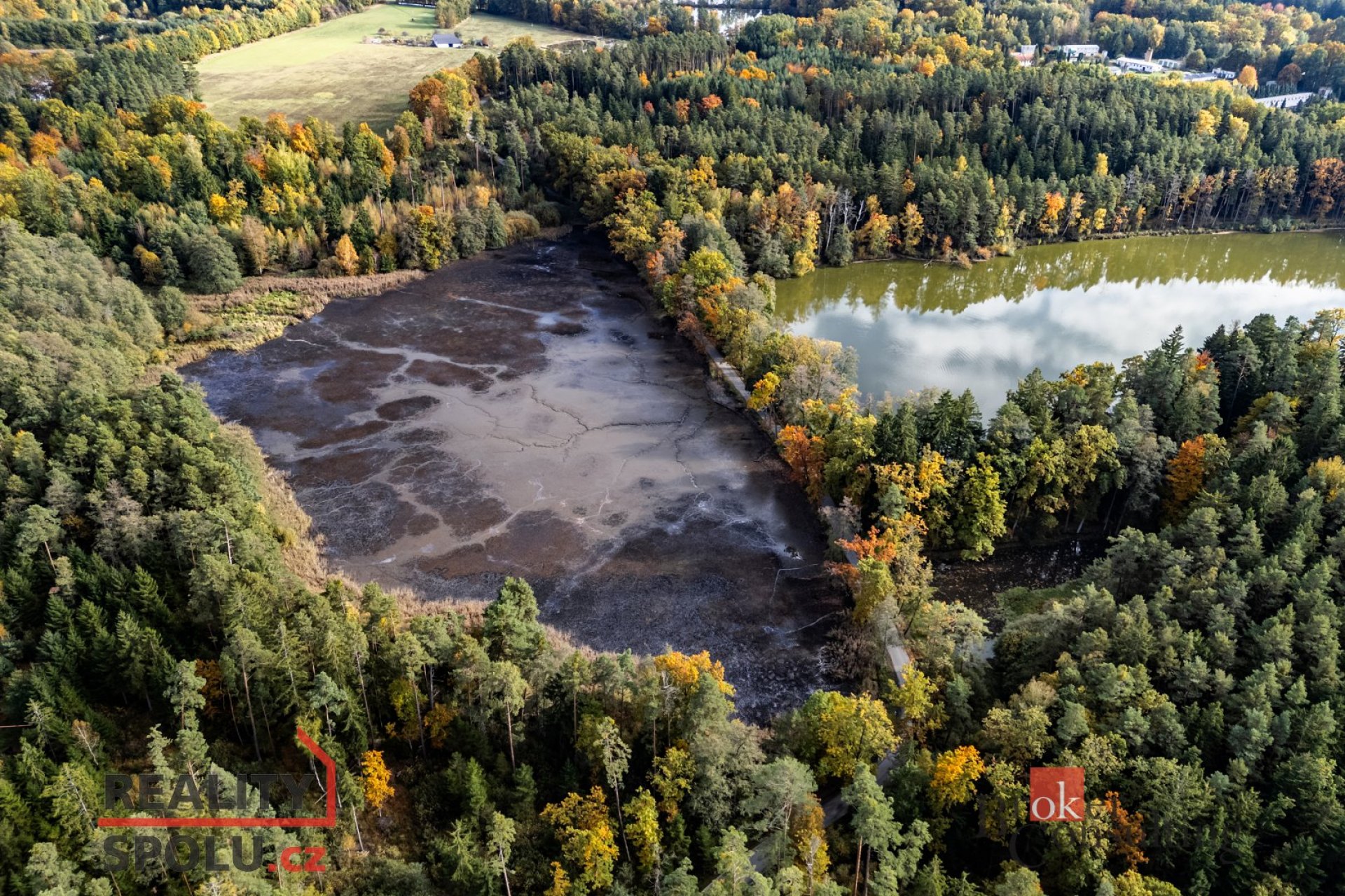 Prodej, pozemky/rybník, 64790 m2, Žíteč, Chlum u Třeboně, Jindřichův Hradec [ID 77875]
