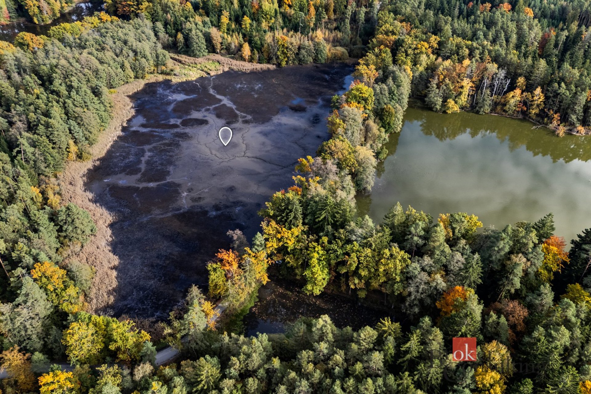 Prodej, pozemky/rybník, 64790 m2, Žíteč, Chlum u Třeboně, Jindřichův Hradec [ID 77875]