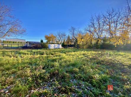 Prodej pozemku pro bydlení, 1 049 m²