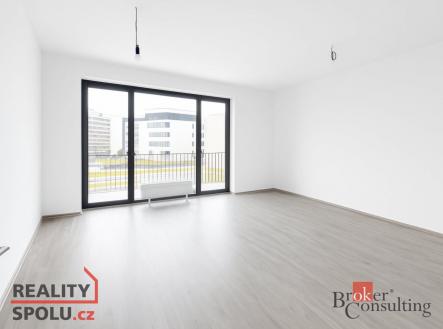 Pronájem bytu, 1+kk, 49 m²