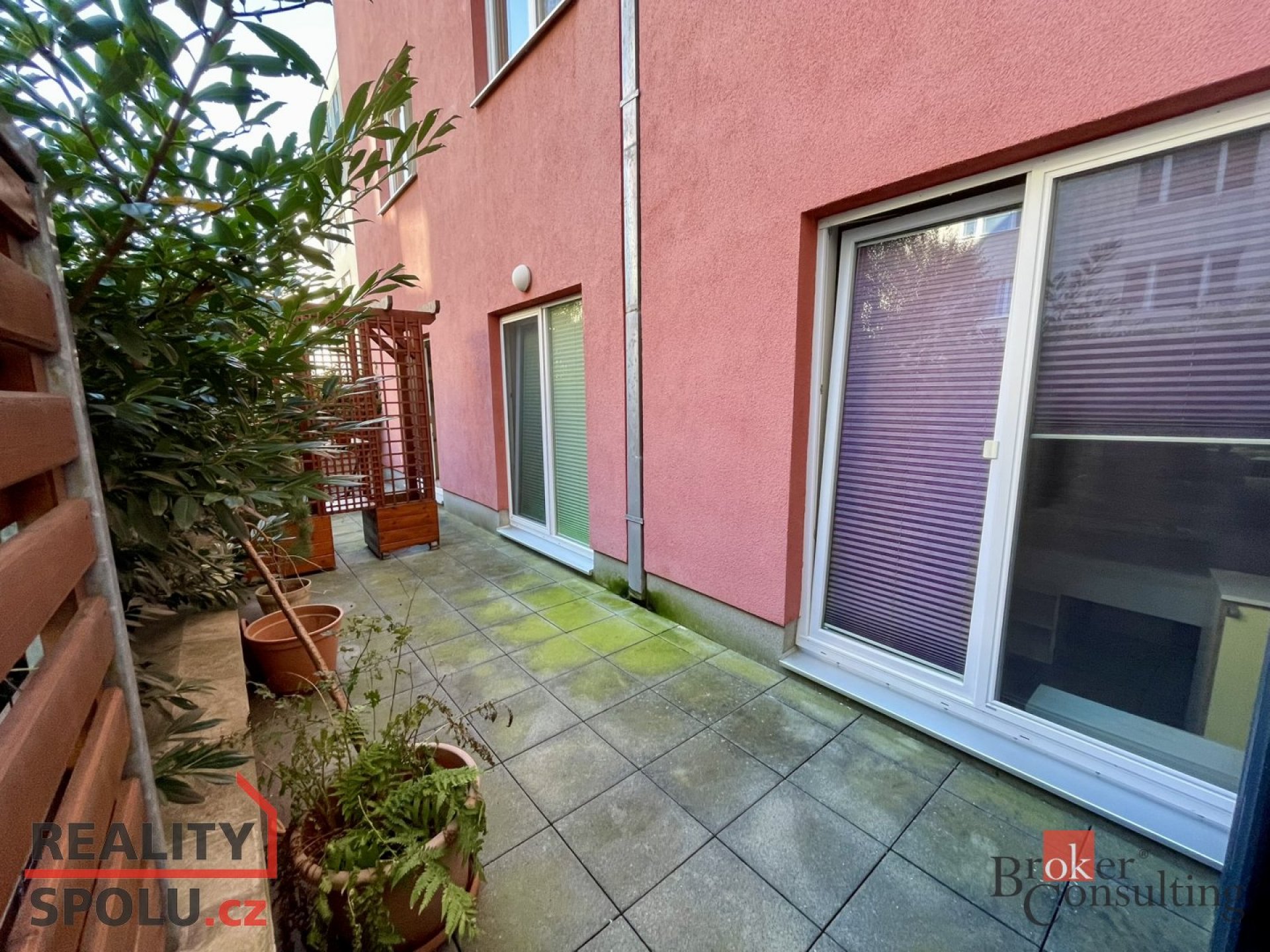 Fotku se nepodařilo načíst.