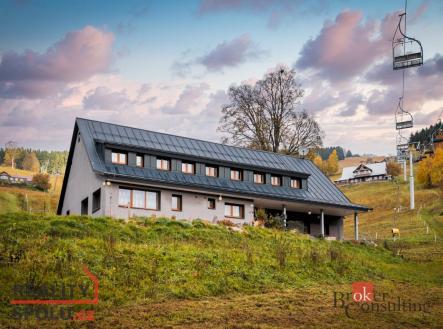 Prodej domu/vily, 390 m²