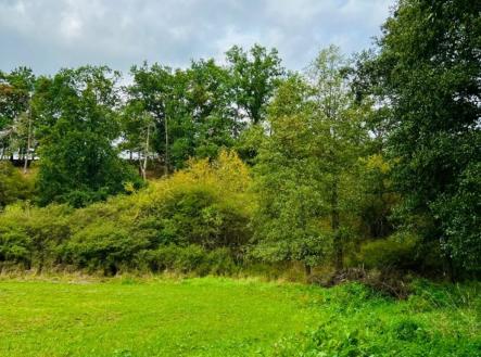 Prodej pozemku, trvalý travní porost, 1 277 m²