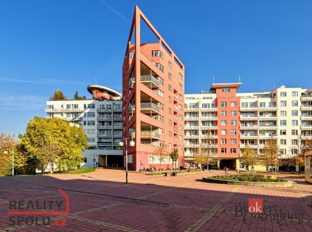 Pronájem bytu, 1+kk, 53 m²