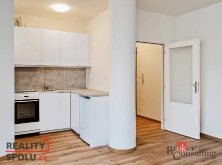 Pronájem bytu, 1+kk, 53 m²