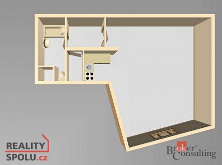 Pronájem bytu, 1+kk, 53 m²