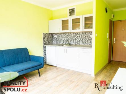 Pronájem bytu, 1+kk, 18 m²