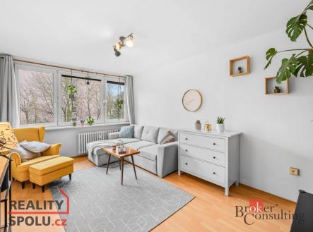 Prodej bytu, 2+1, 54 m²