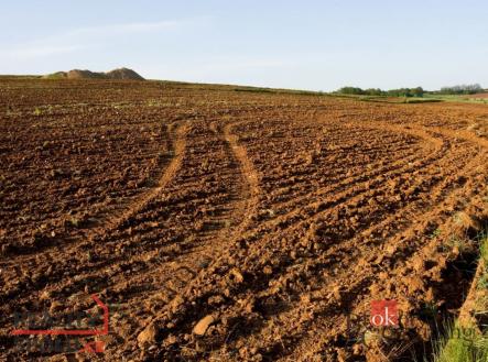 Prodej pozemku, zemědělská půda, 46 553 m²